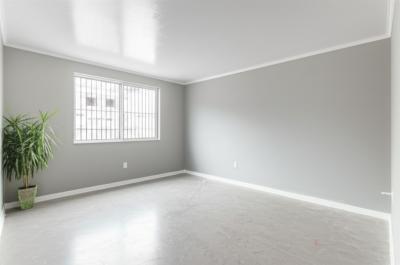 A Renovação Perfeita Começa Aqui: Seu Pintor de Confiança em Nova Mutum