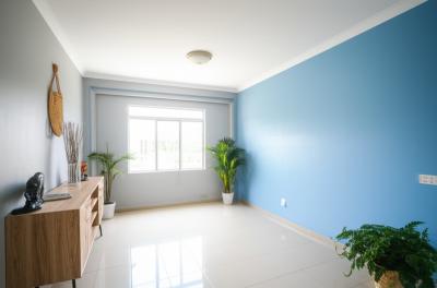 Cansado de Pintura que Descasca? Transforme Seu Lar em Nova Mutum com Cores que Duram e Encantam!