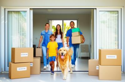 Mudança em Nova Mutum? Relaxe! Sua Nova Vida Começa Sem Estresse, Com Cuidado e Expertise Local.