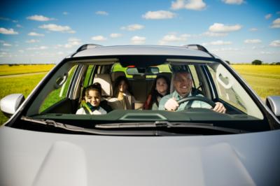 Não Deixe a Estrada de Nova Mutum Surpreender Você: A Segurança da Sua Família Começa Aqui!