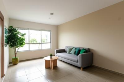 Pintor em Nova Mutum: Transforme Sua Casa em um Lar de Sonhos, Sem Dor de Cabeça ou Surpresas Desagradáveis!