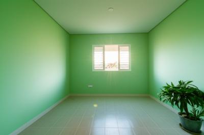 Pintor em Nova Mutum: Transforme Sua Casa em um Novo Lar com Cores Vivas e Acabamento Impecável!