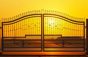 Imagem para o artigo: Sua Visão em Metal: Serralheria Artística Que Une Segurança, Durabilidade e Beleza Exclusiva em Nova Mutum